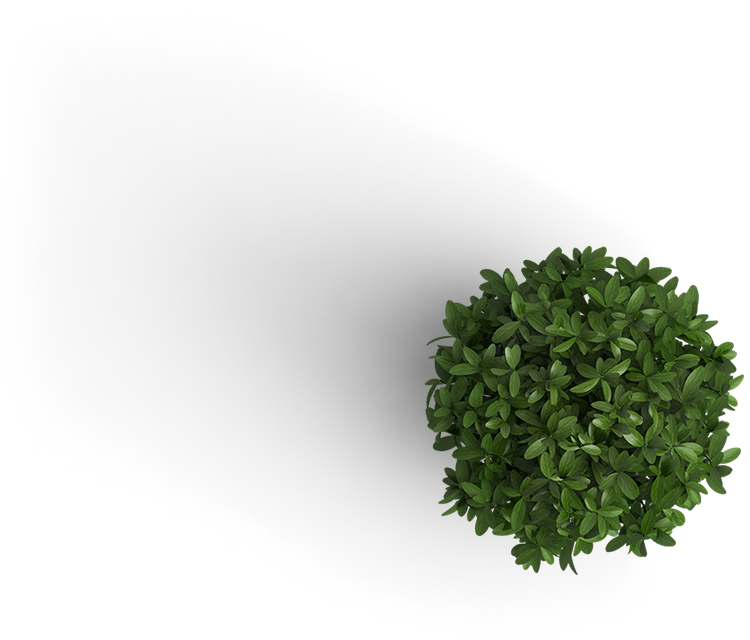plant.png
